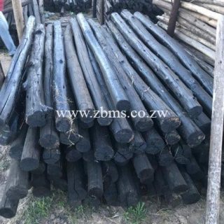 125mm - 150mm by 1.5m 1.2m 1.8m 2.1m 2.4m 2.7m 3m 4m 5m 6m treated poles for sale harare zimbabwe