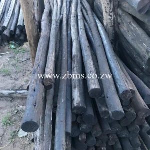 50mm - 75mm by 0.5m 1m 1.5m 1.2m 1.8m 2.1m 2.4m 2.7m 3m treated poles for sale harare zimbabwe