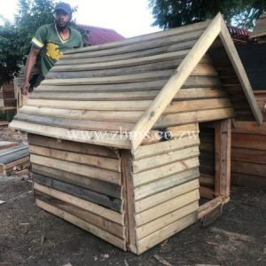 dkwc04 dog kennel for sale zimbabwe t&g timber