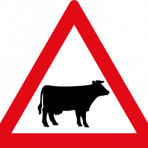 Cattle ahead road sign for sale Zimbabwe