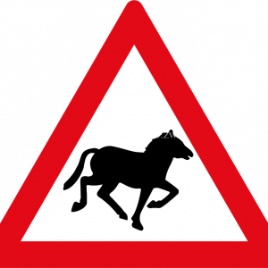 Horses ahead ROAD SIGN FOR SALE zIMBABWE