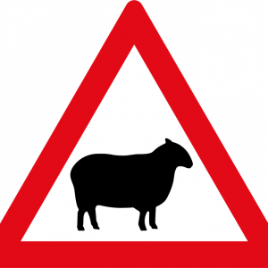 Sheep ahead road sign for sale Zimbabwe