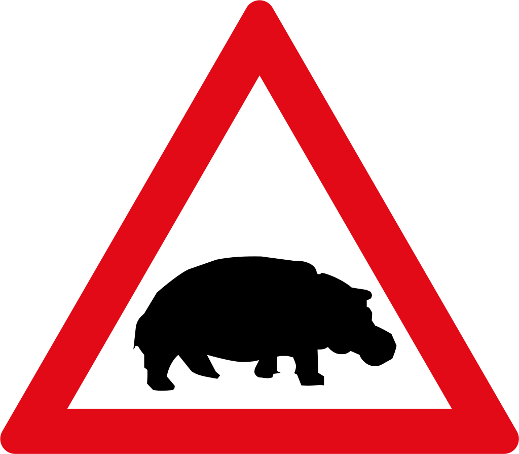 Hippos ahead