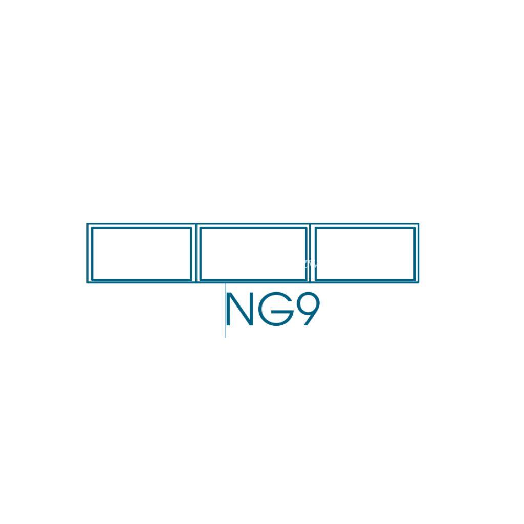 NG9 G type Window Frame - Zimbabwe Building Materials Suppliers